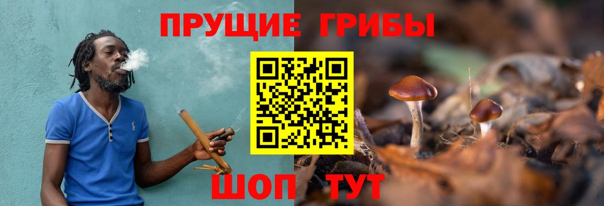 Псилоцибиновые грибы прущие грибы Шелехов