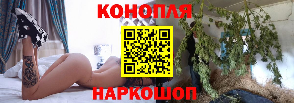 Бошки Шишки планчик Шелехов
